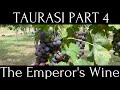 Wines Of Taurasi Part 4