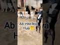 🫵🤣Dog chlo ishq ladayen #funny #dog #dance #trending #shorts