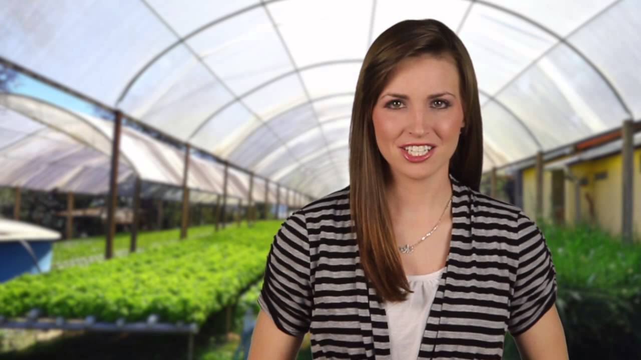 Hydro-garden.com - YouTube