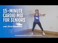 15minute cardio mix for seniors