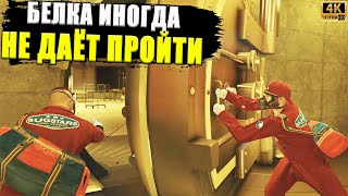 У "Bugstars" проблемы. Новый ГАЙД по ограблению казино в GTA Online