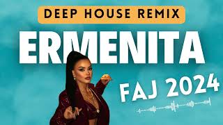 Ermenita - Faj (Yücel Yılmaz Remix) Resimi