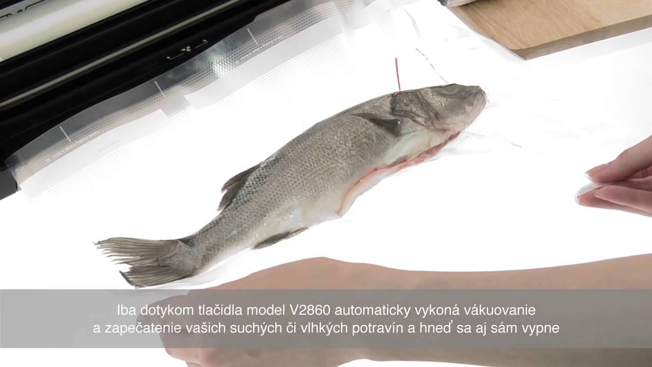 Bionaire FoodSaver V2860 YouTube