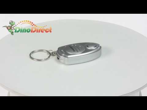 Photo Anti Mosquito Keychain