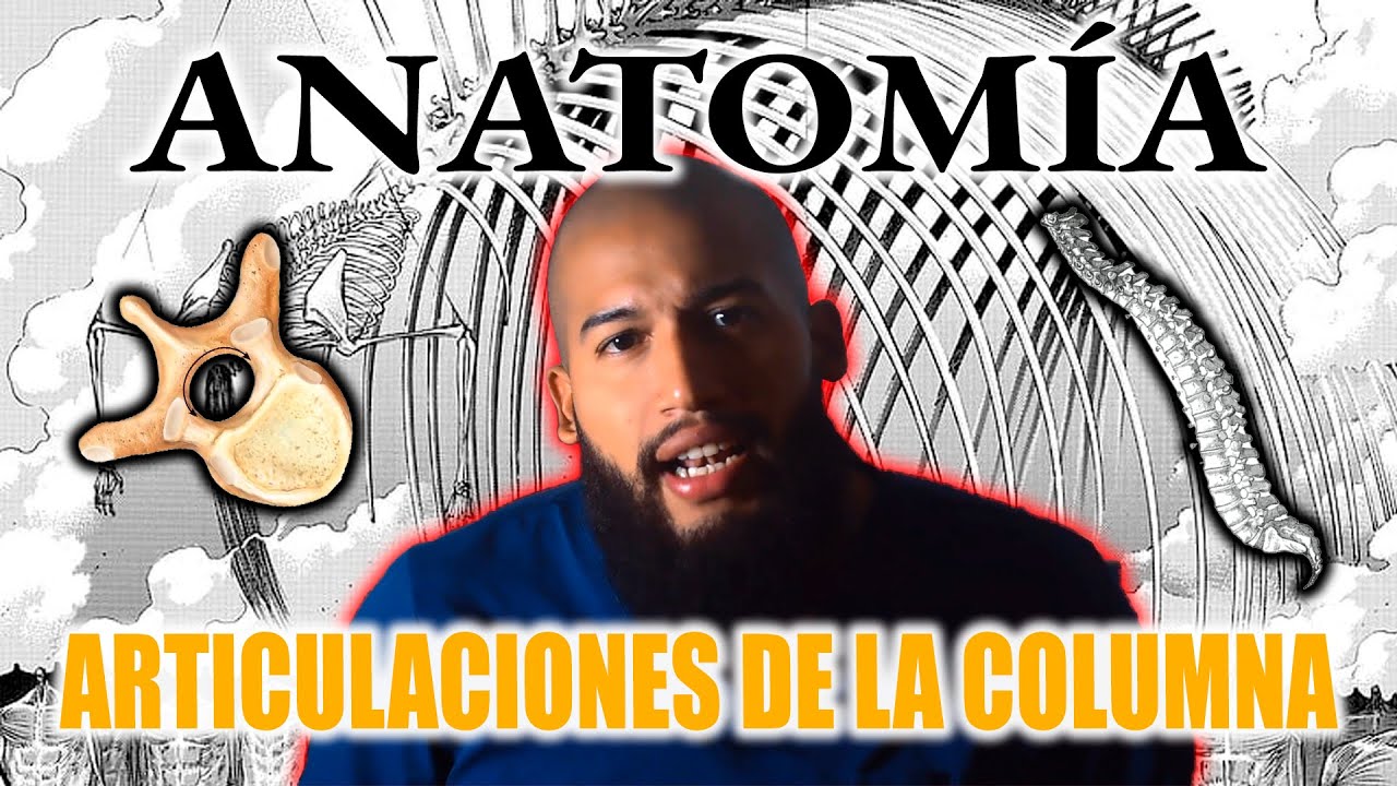 Anatomía - ARTICULACIONES de la COLUMNA VERTEBRAL (Entre Cuerpos VERTEBRALES, DISCO Y APOFISIS)