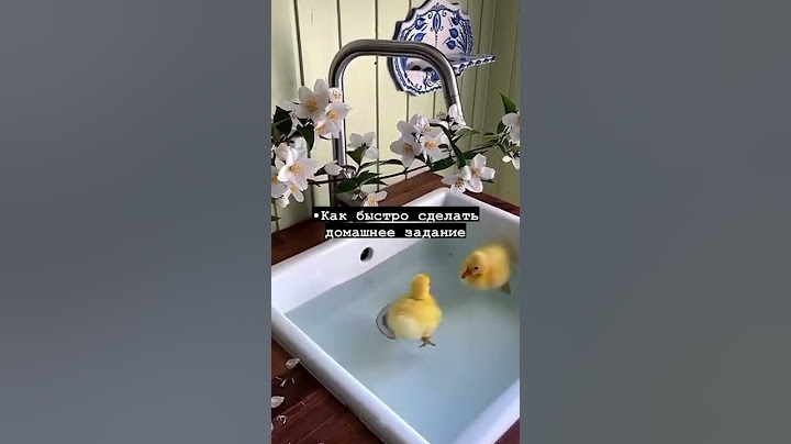 как быстро сделать домашнее задание⚠️конец🤣