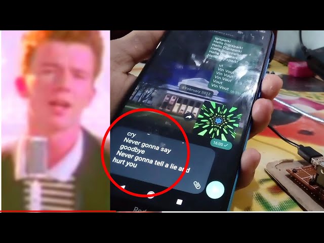 Rick roll phone number 