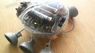 Ladybug Robot Kit