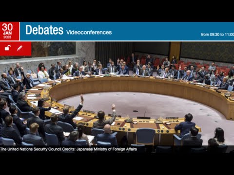 Is The UN Security Council Still Relevant? France And Japan's Views On The Future Of Multilateralism