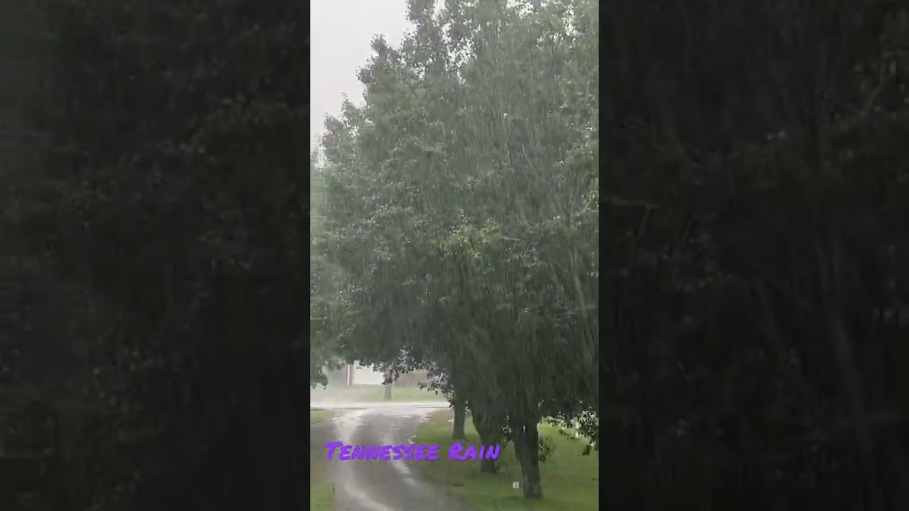 Tennessee Rain