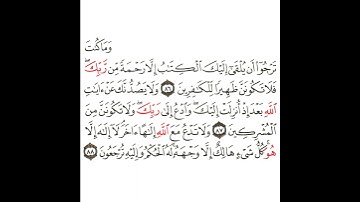 سورة القصص 31 القسم الحادي والثلاثون تكرار كيفي من .. وما كنت ترجو أن يلقى .. إلى .. وإليه ترجعون