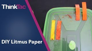 DIY Litmus Paper | ThinkTac | Science Experiment