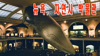 뉴욕 여행 뮤지엄 투어 4탄 | 미국 자연사 박물관 | American Museum of Natural History