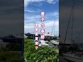 舟木一夫【夏子の季節】#shorts#夏子の季節=舟木一夫