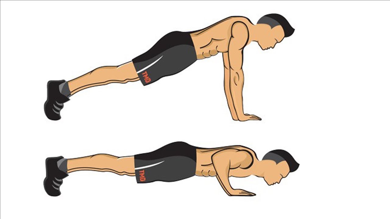 Push Ups تحدي بوش اب ضغط للياقة Youtube