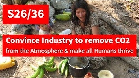 S26/36 Activists can convince Industry to remove fossil CO2 from atmosphere & make all Humans thrive