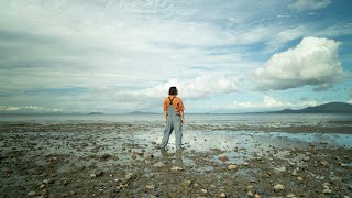 熊本県の陶芸家、あよおをはじめ、陶芸家のうつわ（食器）や手仕事作品