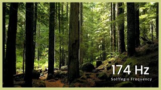 174Hz Heal And Recover - Solfeggio frequency, healing music, meditation, relaxing music
