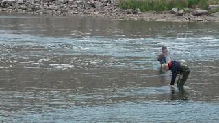 Game and Fish asks anglers to adjust fishing practices for dry, hot weather