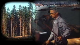 Trailblazers for an Industry: The History of Health and Safety in B.C.'s Pulp and Paper Industry by WorkSafeBC 2,668 views 1 year ago 14 minutes, 54 seconds