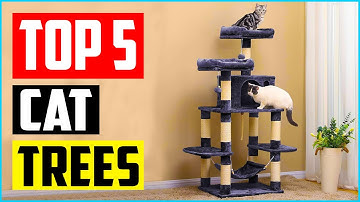 Top 5 Best Cat Trees for Multiple Cats of 2021 Review