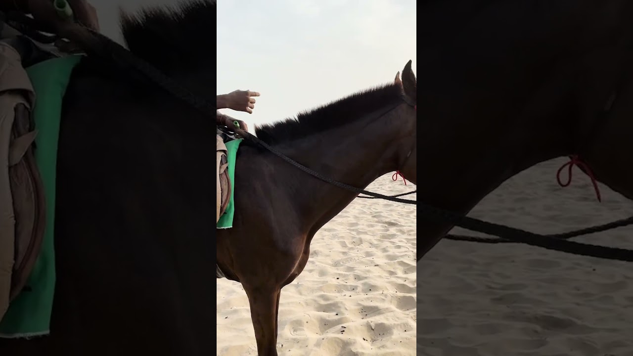 What I did in Accra, Ghana… Day 3 of my Holiday… 