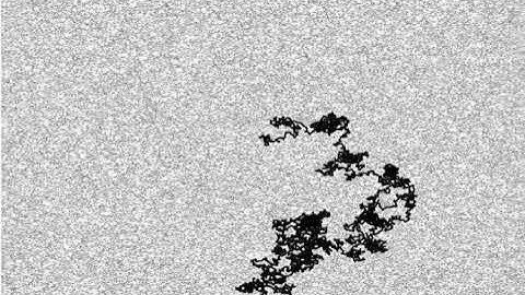 Random walk on random environment looks like Brownian motion!