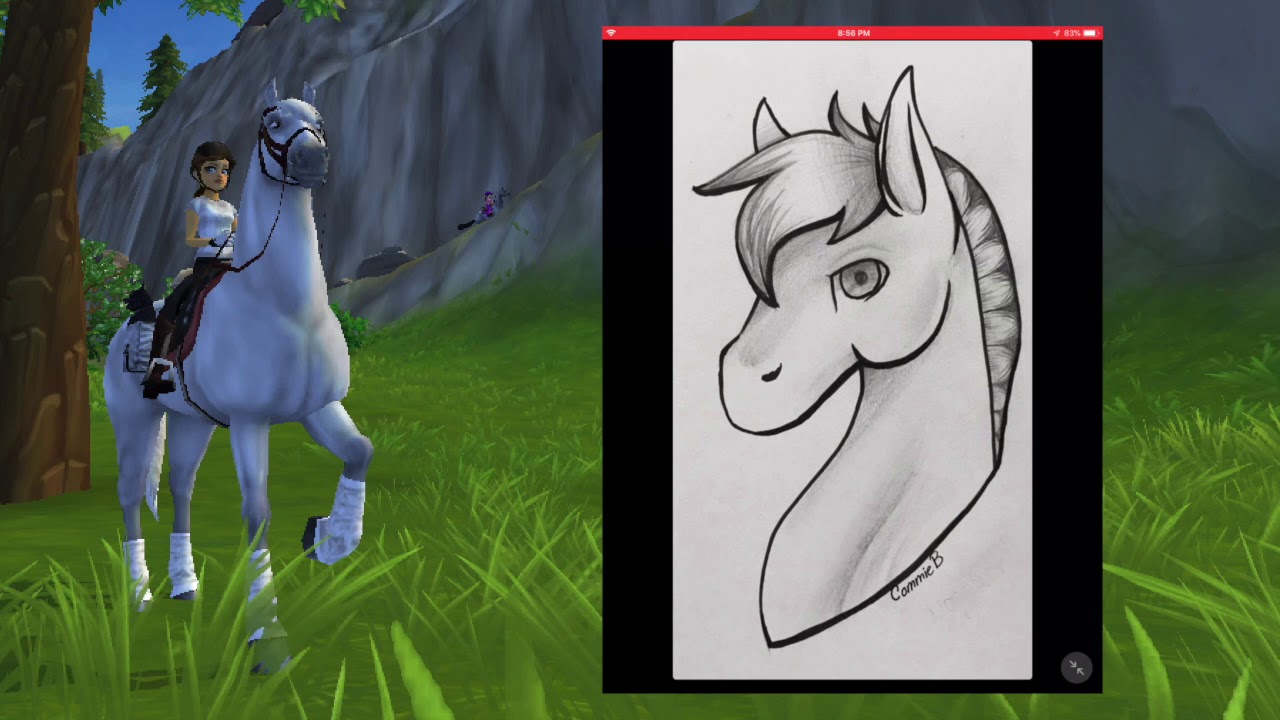 New ZONY, INVINCIBLE DOGS, and JUSTIN has a TWIN?! | Star Stable Online