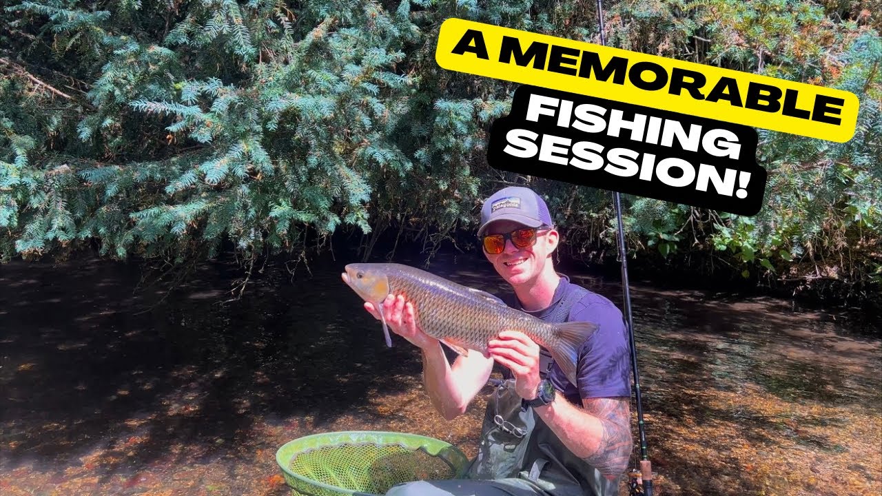 ROLLING MEAT FOR CHUB & SURPRISE FISH!