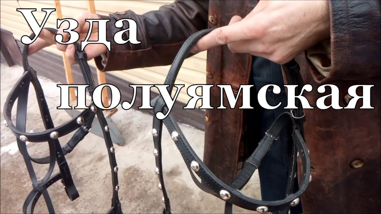 Узда для лошади полуямская со стальным набором