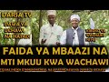 Faida Ya Mti Wa Mbaazi Kwa Wachawi / Dawa Ya Uchawi Sugu / Sheikh Othman Micheal na Jafar Mchawi