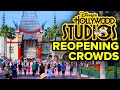 Disney's Hollywood Studios Reopening CROWDS & Virtual Queue CHANGES!