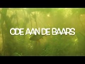 Ode aan de baars