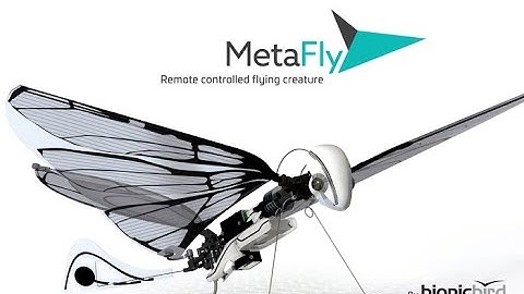 MetaFly Amazing Flying insect of advanced technology حشرة طيران مذهلة