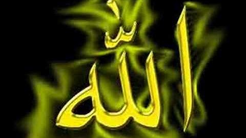 الشيخ حمدى ابو الدهب سورة الفجر