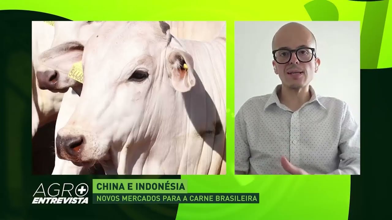 Agro Entrevista com Fernando Iglesias | Agromais