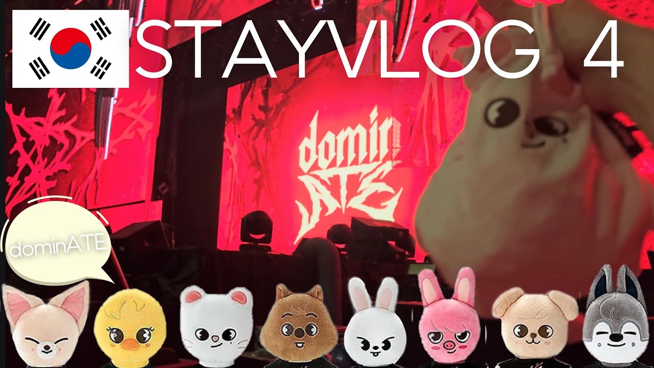 【dominATE WorldTour】ソウルコン3日目。スタンディング参戦！【Straykids】