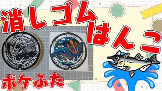 全国のポケふた　消しゴムはんこ化計画【朝活/作業/雑談】【山口県　下関市/ホエルコ・エンペルト】【薬剤師/ハエトリグモ/低音女子】 #ねこじゃ消しはん #ハンドメイド #消しゴムハンコ