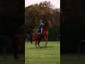 Have you ever seen a backwards rear?