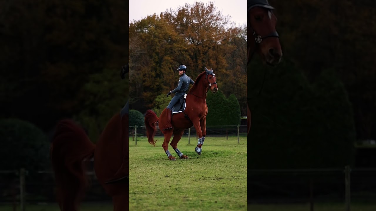 Have you ever seen a backwards rear?