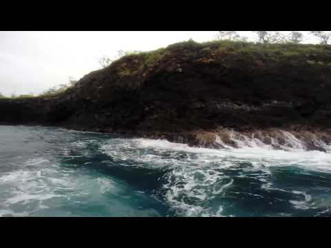 Video: Captain Zodiac Raft Expeditions Kauailla, Havaijilla