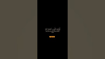 سورة الحجرات / القارئ عبد الرحمن مسعد / تلاوة خاشعة تريح سمعك