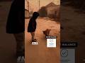 Fock Thakidatha (Remastered) tvs ntorq ride 🛵🛵🛵👑👑👑👑#viral #shortvideo #tvsntorq125 #bunnyreaction