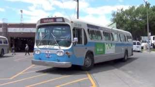 Montreal Historic Buses GM New Look 