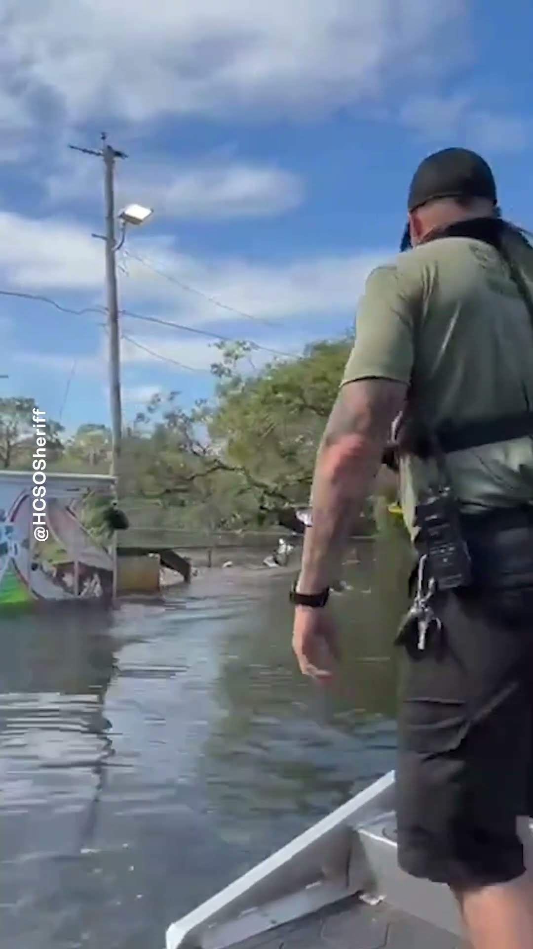 ? Niño de 14 años fue rescatado en la Bahía de Tampa | Noticias Telemundo