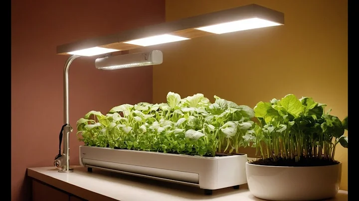 Hydroponics at Home: Setting Up Your First System