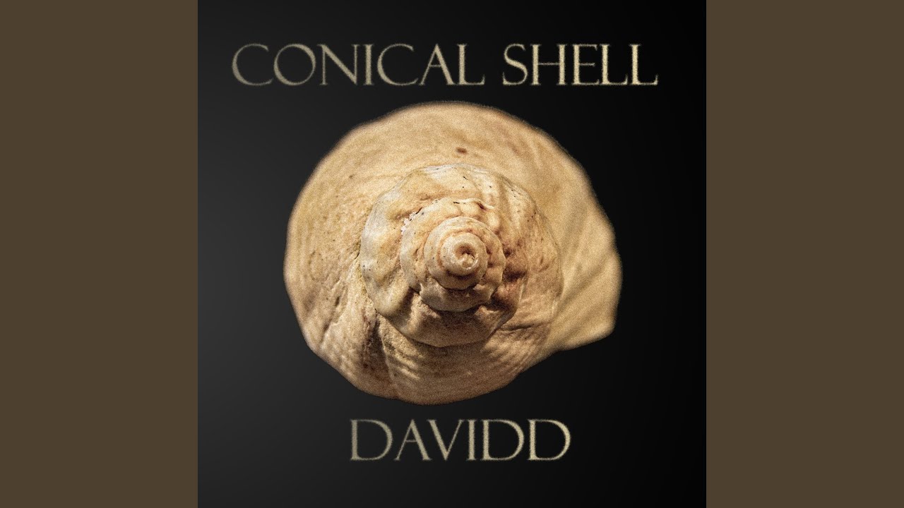 Watch Conical Shell on YouTube Watch Conical Shell on YouTube