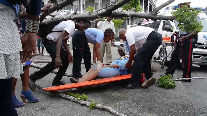 Nation Update: Falling tree injures woman
