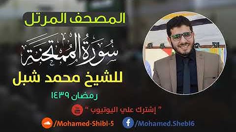 سورة الممتحنة للشيخ محمد شبل
