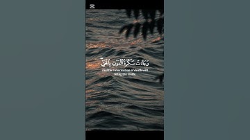سورة ق || الشيخ ياسر الدوسري || #قرآن #المصحف #قران_كريم #راحة_نفسية #اكسبلور #لايك #ياسر_الدوسري